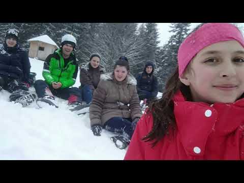 Before and after pandemic   Romania