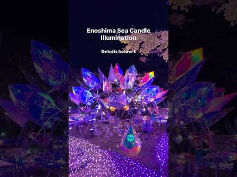 Enoshima Sea Candle Illumination