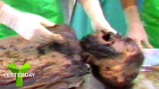 Autopsy of of 700 Year Old Medieval Knight | Medieval Dead | Yesterday