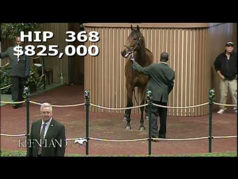2012 November Breeding Stock Sale - Hip 368, Capital Plan