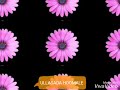 Ullasada Hoomale Status Song