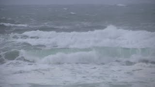 Neighbor remains emotional after witnessing father, children swept out to sea