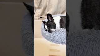 雪予報なのでさすがに行かない