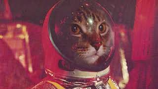 Stephen Malkmus &amp; the Jicks – Baltimore (cover)