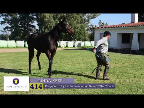 Lote Nº414 - Linda Keep