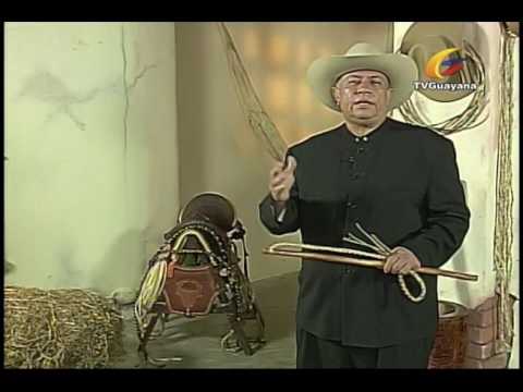 PROMOCION PROGRAMA SENTIMIENTO LLANERO POR TV GUAYANA CON JAIME BALZA