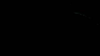 Los Polacos  Pablo Vidal