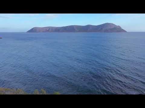 Mersin Tisan Ekim 2025