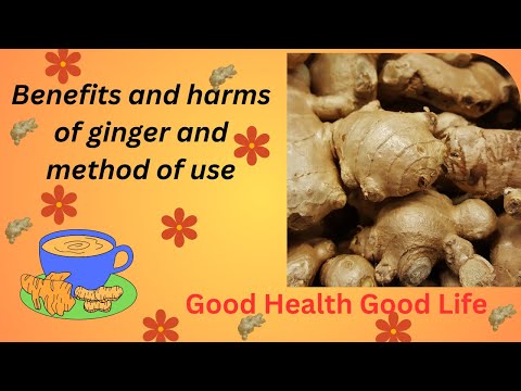 , title : 'what is the benefits of ginger| Benefits and harms of ginger and method of use | health ginger'
