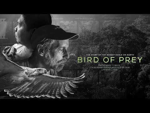 image-What is the name of a bird of prey?
