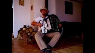 L`italiano vero (Toto Cutugno) - accordion cover