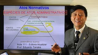Atos Administrativos - Espécies - Atos Normativos - aula 111 - Direito Administrativo