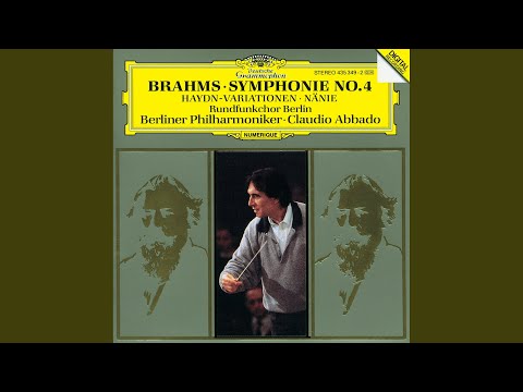 Brahms: Symphony No. 4 in E Minor, Op. 98 - I. Allegro non troppo