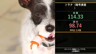 本日の投資注目TOP10【9/4 9:00】