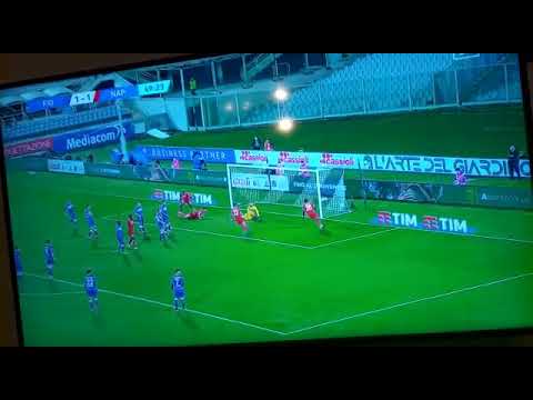 tifosi sfegatati del Napoli