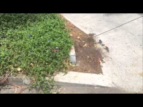 Rhino/Tapex Tip From The Field - Get To Know Your Marker's Surroundings