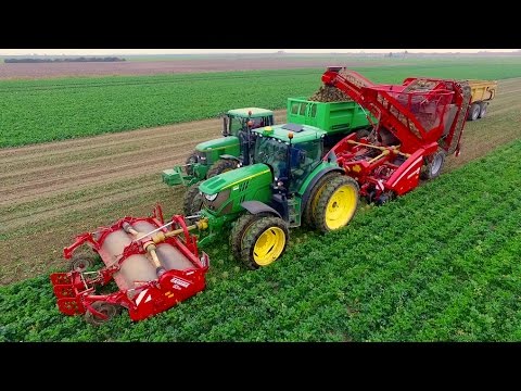 Harvesting Celeriac | Grimme Rootster 604 & John Deere 6150R | Knolselderij rooien C Breure en Zn