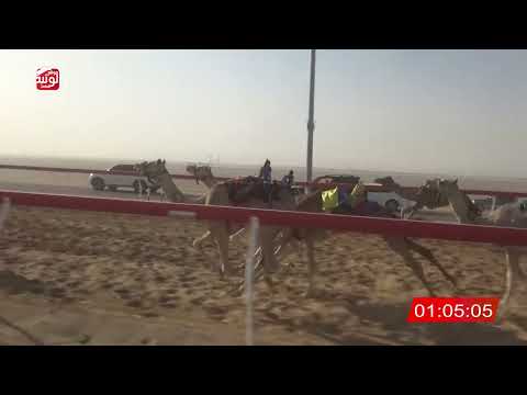  ش 28 (هلاك) لـ حيدر حسان 2:07 ، شارة الصندوق 2026/05/30 فطامين الروضة