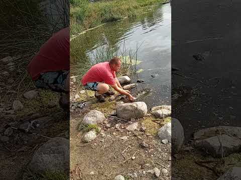 Fishing With A Spinner.