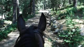 Ruta a Caballo a la fuente de La Campanilla-Sierra de Madrid (Vol 4-10)