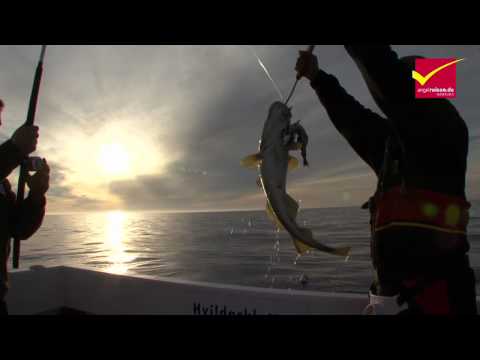 Big Fish Iceland - Kapitale Fische in Island