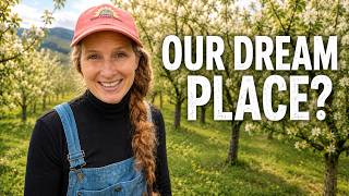 We Put an Offer on Our Dream Property. What If It Falls Through?