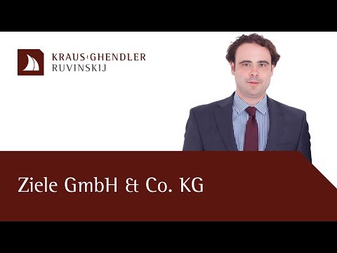 Ziele einer GmbH & Co. KG Gründung - Erklärt vom Anwalt