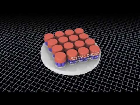 Tour of the EMS 08 - Gamma Waves