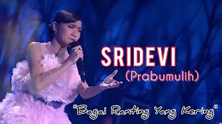 Download lagu Suara Yang Indah SRIDEVI Prabumulih - Bagai Ranting Yang Kering - Dangdut Academy 5 mp3 Download lagu Suara Yang Indah SRIDEVI Prabumulih - Bagai Ranting Yang Kering - Dangdut Academy 5 mp3