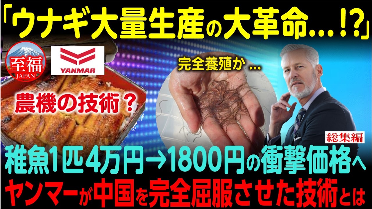 【海外の反応】「まさか日本でウナギ量産化！？」中国が20年で諦めた完全養殖をヤンマーが3年で実現させた理由【総集編】