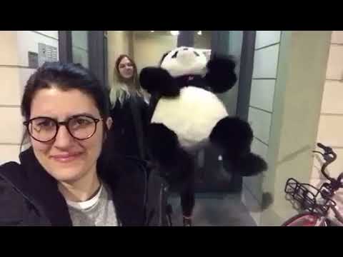 Batti le mani, schiocca le dita (ft. Panda Kevin)