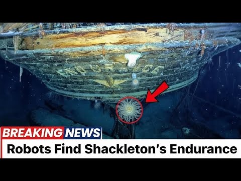 Robots Find Shackleton’s Lost Ship — What They Saw Is Terrifying”