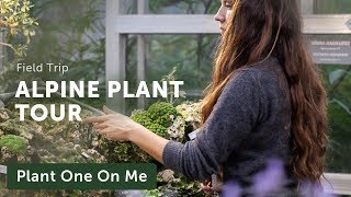 Alpine Plant Tour at Gothenburg Botanical Gardens — Ep. 187