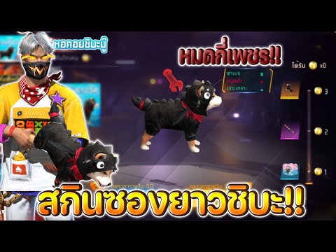 ฟีฟาย
