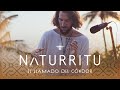 N Λ T U R R I T U – El Llamado del Cóndor (Hybrid DJ-SET / Folktronica / Organic Downtempo)