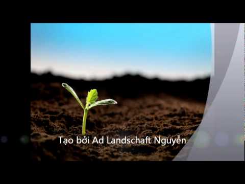 Thể hiện bởi Various Artists (tiếng Hoa)