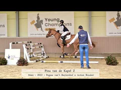 Onder het zadel
