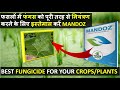 फफूंद से फसल को बचाए आसानी से | How to use fungicide for plants | Best Fun