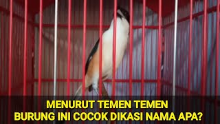 Download lagu CENDET PENTAGON || CENDET NEMBAK TENGKEK - KUNTI - GREJA mp3