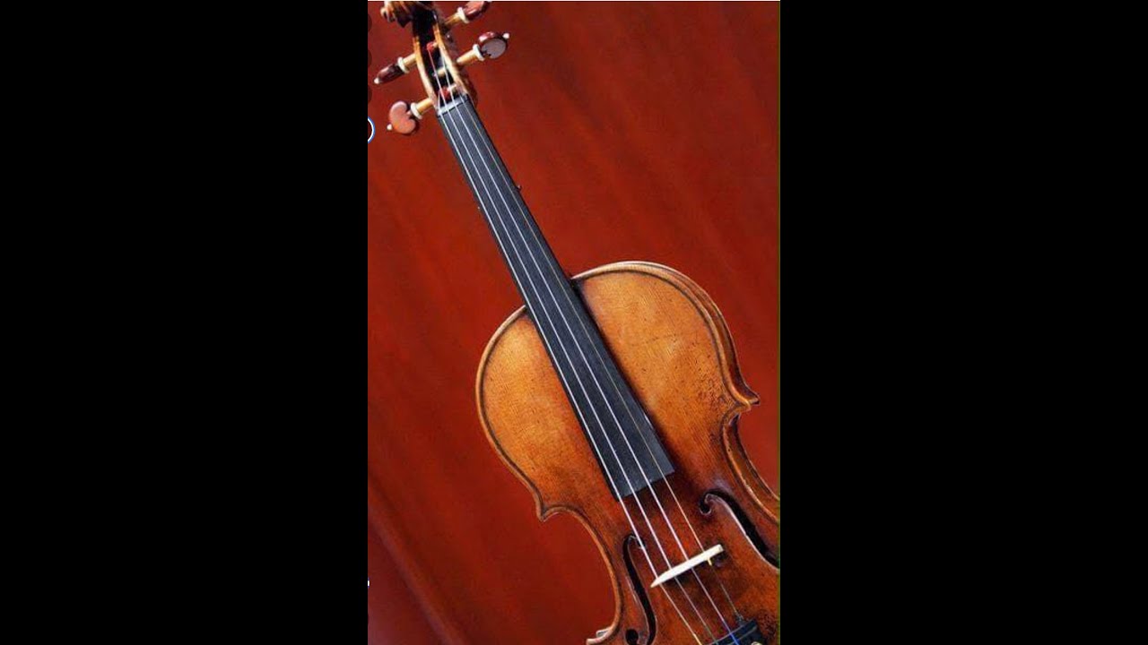 Promotional video thumbnail 3 for Bravo String Quartet / Bravo Music