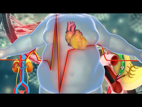 Extremely Powerful Fat Burn Frequency | 528 Hz + 432 Hz | Weight Loss Alpha Waves, Burn Fat Cells #3