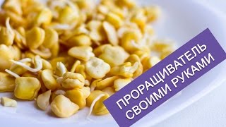 Ссылка