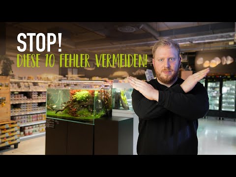 Die 10 häufigsten Aquaristik-Fehler | KÖLLE ZOO