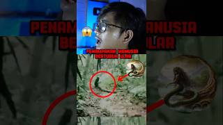 Download lagu The mystery of the appearance of a snake ghost was caught on camera mp3