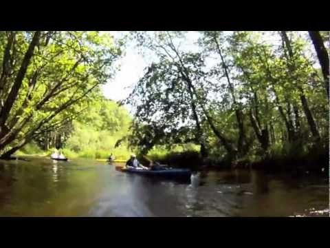 Odkryj Szczecin - Płonia