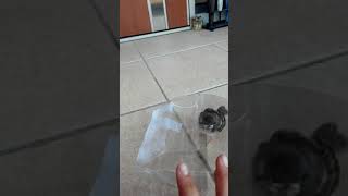 羽をけがしたすずめを、かってあげました。