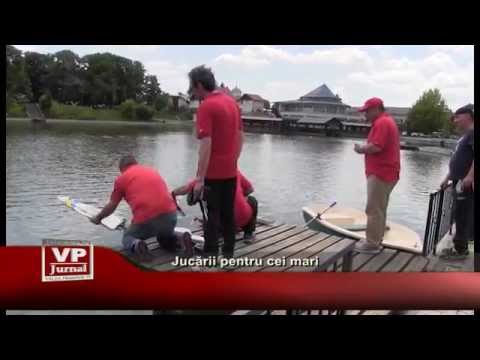 Jucarii pentru cei mari