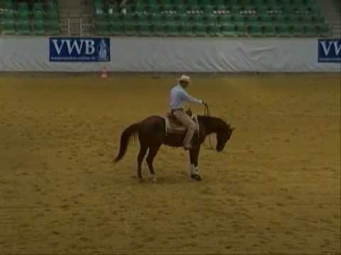 Chic O Lena Express / Jürgen Thaler AQHA Sen.Reining 3/4