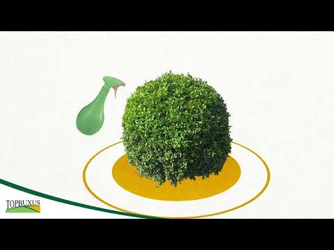 TOPBUXUS XenTari - Professional Dosage - Against Box Tree Moth Caterpillar - Biological