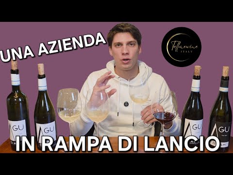 Azienda Agricola AGÙ: BELLISSIMA SCOPERTA! 🍷👀